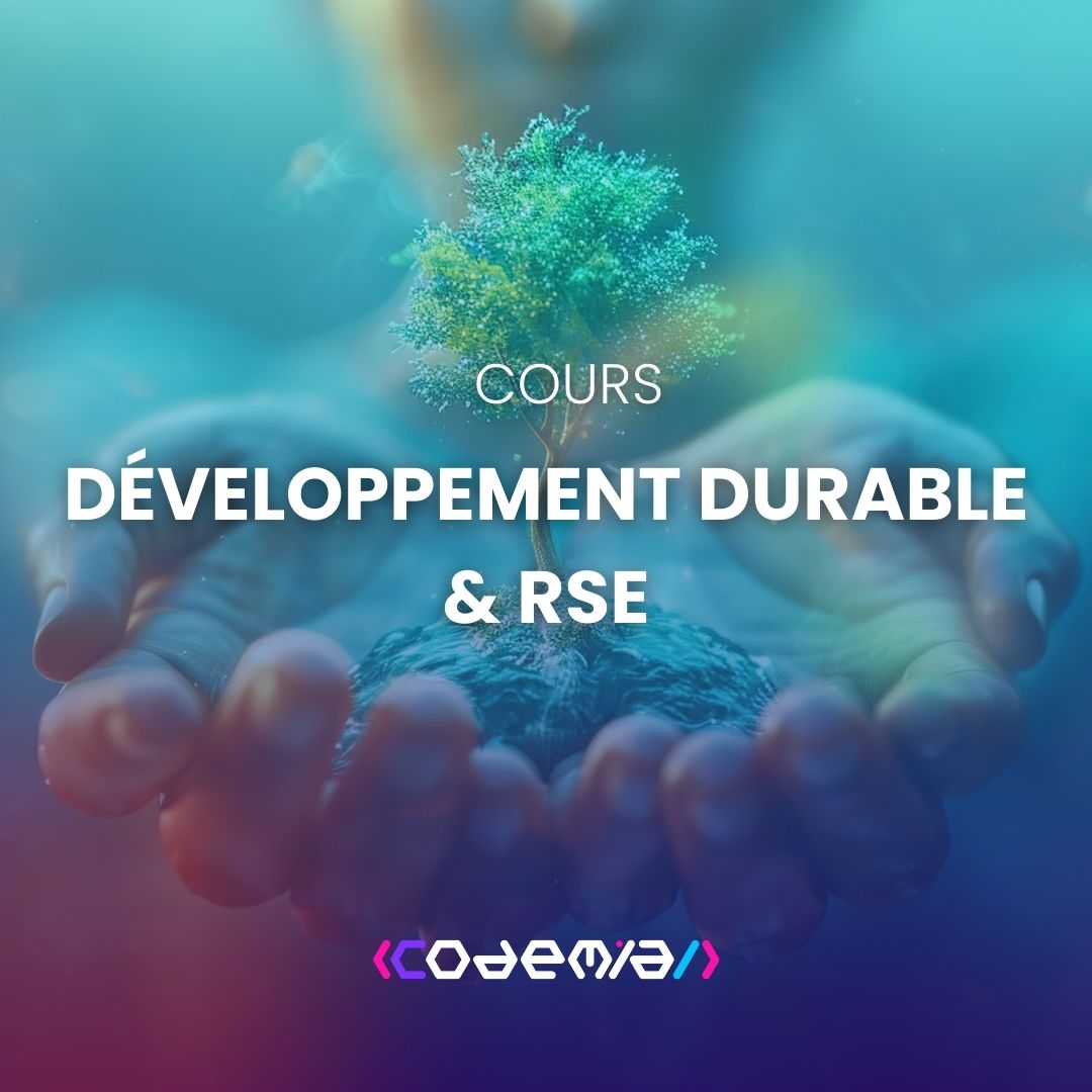 VIGNETTES COURS CODEMIA (1080 x 1080 px) (2)